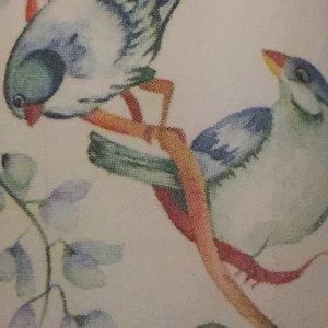 Meet your Posher, Kelli